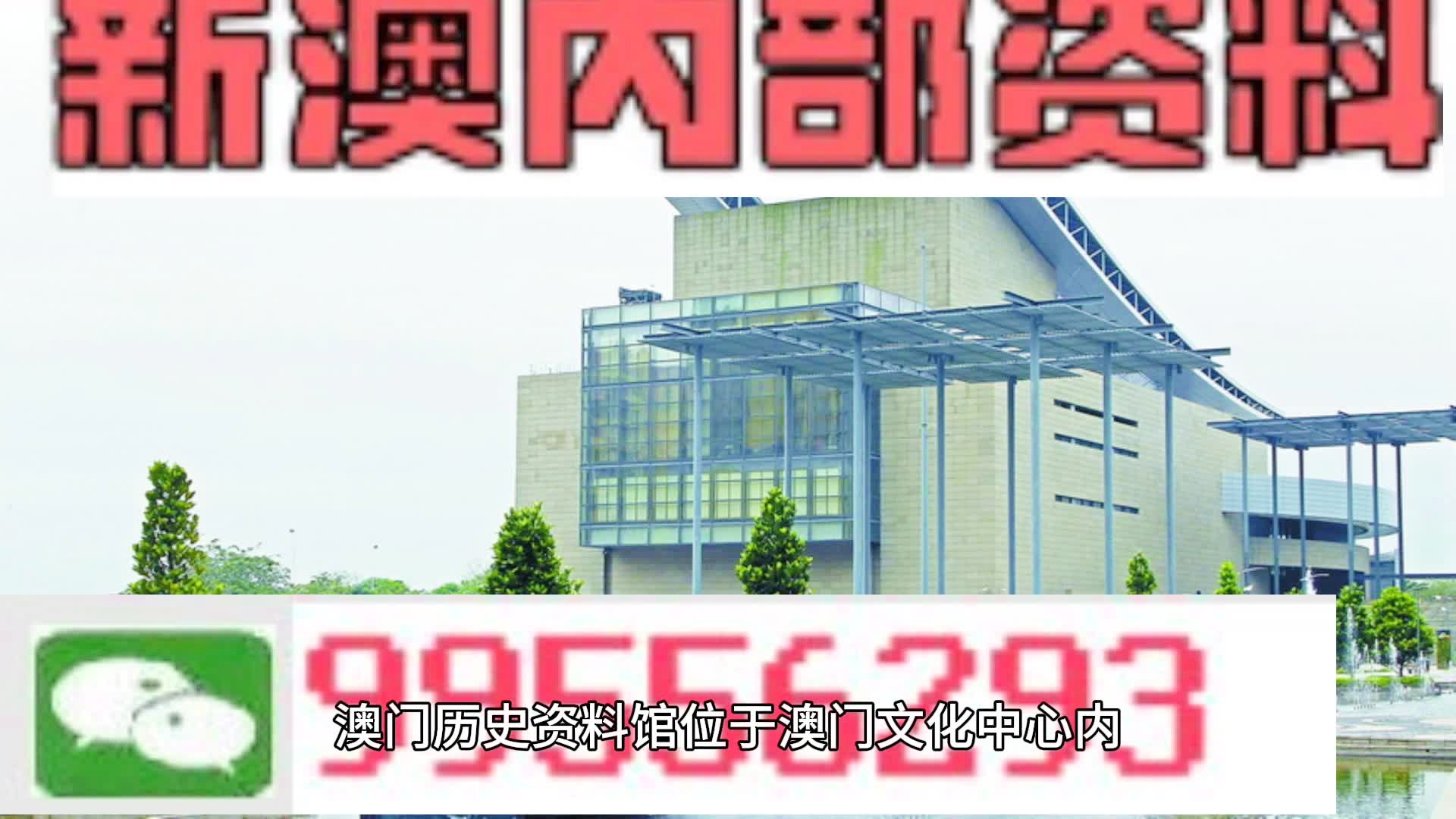 2024-2025年澳门每日精选精准24码-精选解释解析落实