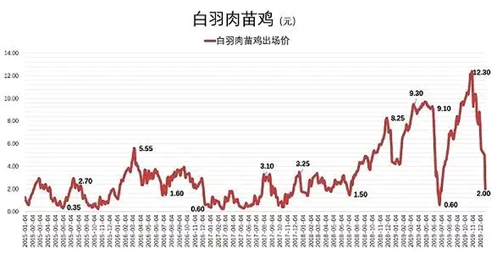 白羽肉鸡最新价格动态分析