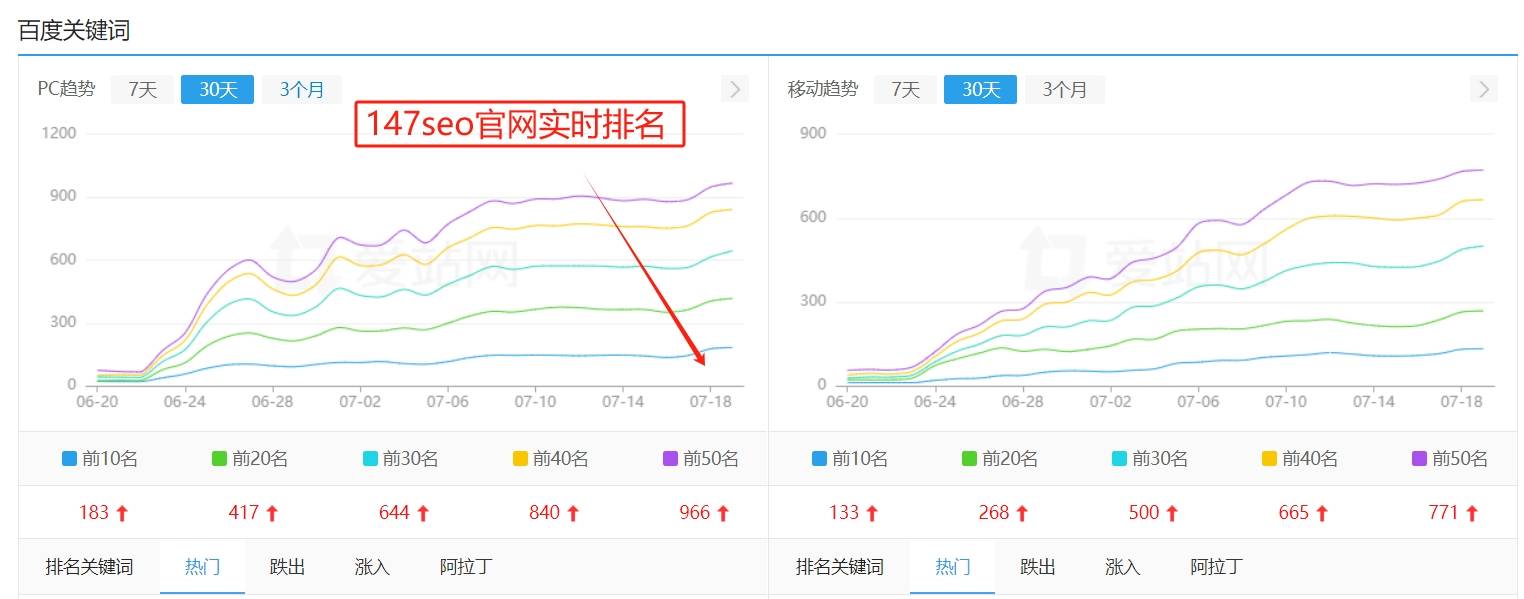 天天更新的网站最新动态与深度分析