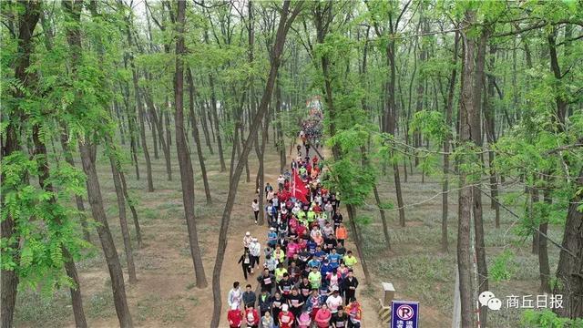 民权湿地公园最新动态，生态建设的蓬勃发展