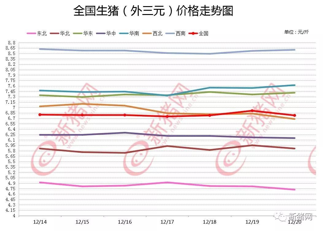 陇南最新生猪价格动态分析