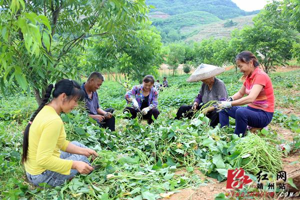 靖州本地最新招聘动态及就业市场分析