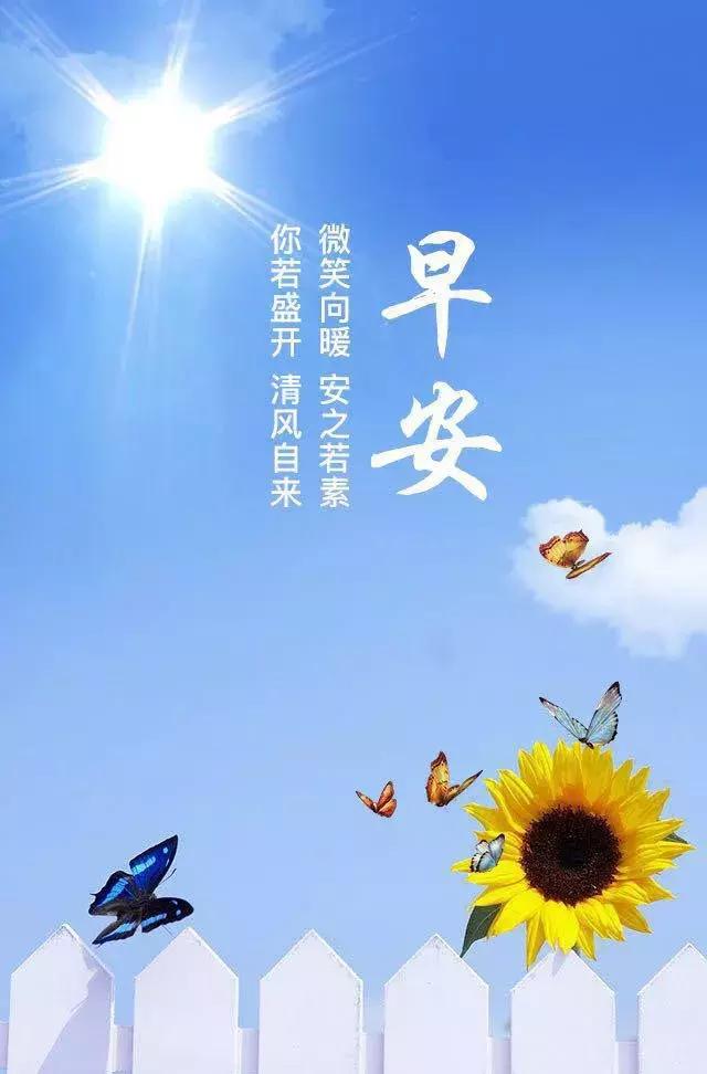 早安图片，迎接美好的一天，传递正能量