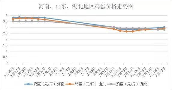 今日全国鸡蛋最新价格分析与展望