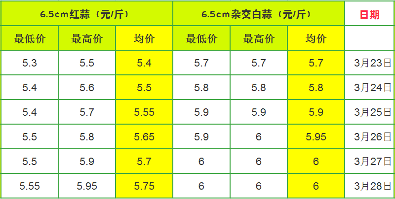 广西今日最新大蒜价格动态分析