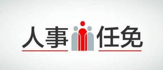 威海最新人事任免动态